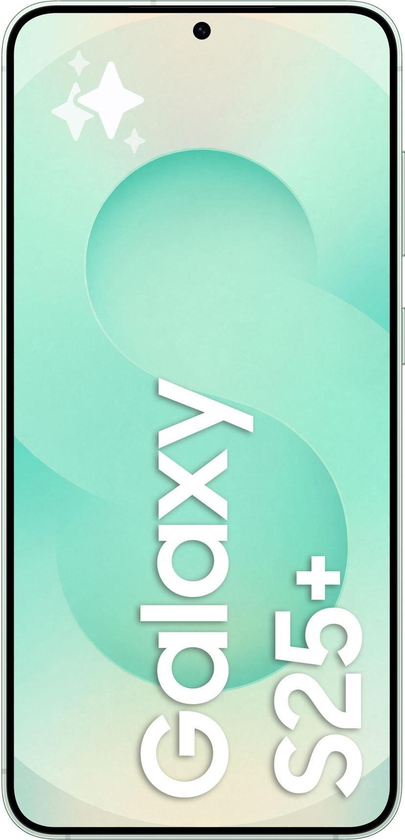 Samsung Galaxy S25+ 256GB Mintunvärinen