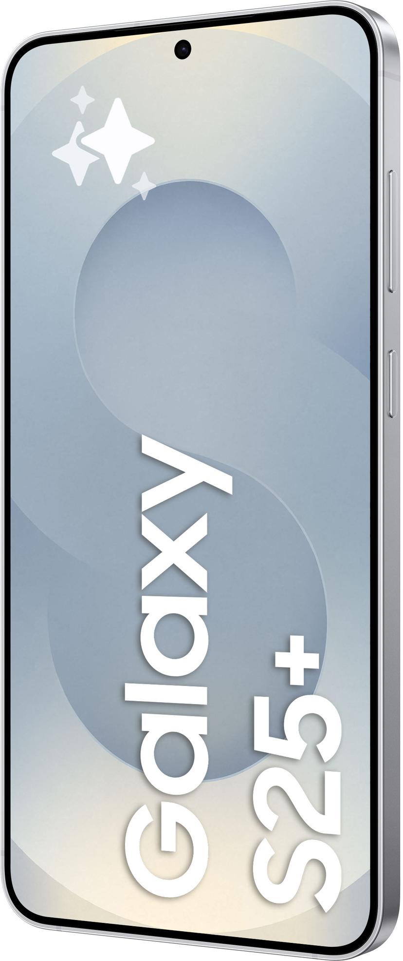 Samsung Galaxy S25+ 256GB Zilver (SM-S936BZSDEUB)