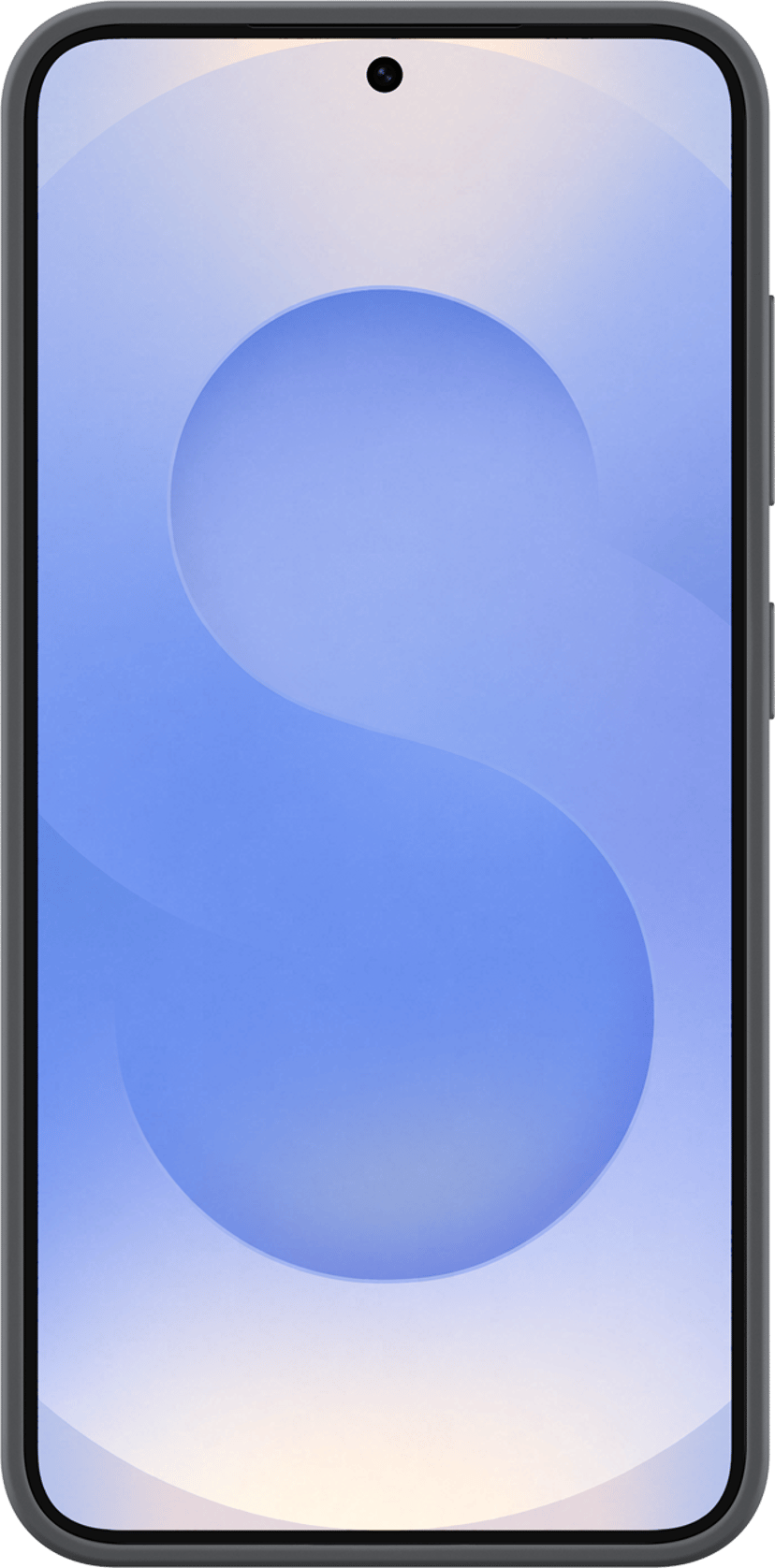 Samsung Silicone Case Samsung Galaxy S25 Musta