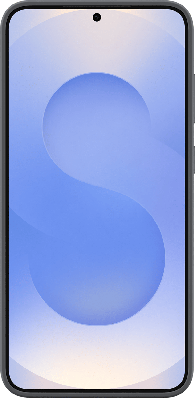 Samsung Silicone Case Samsung Galaxy S25+ Musta