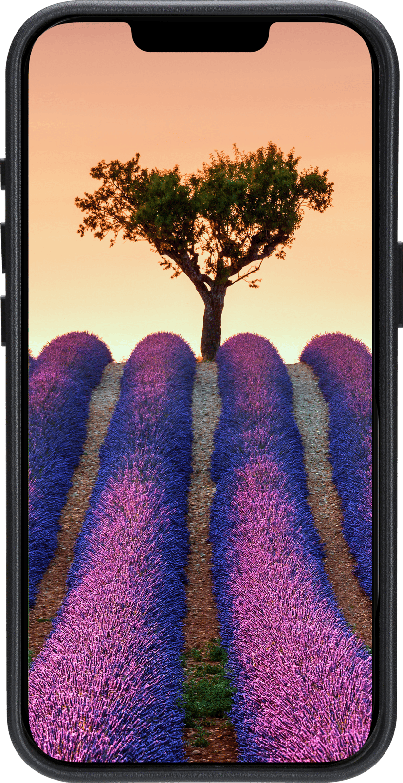 Product image slide 5
