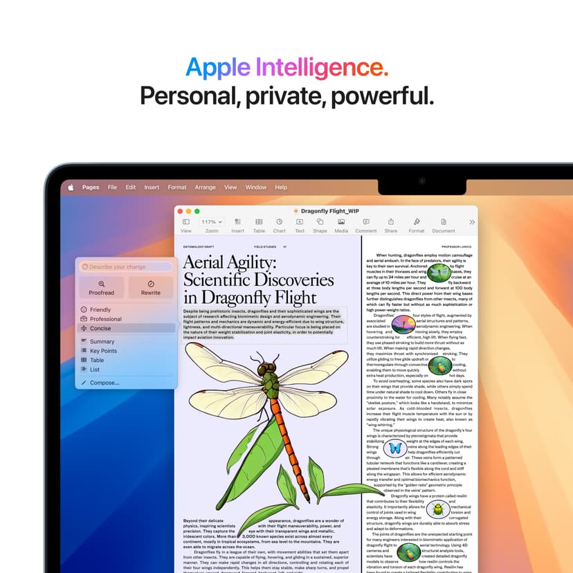 Apple MacBook Air (2025) Taivaan­sininen M4 16GB 512GB 13.6"
