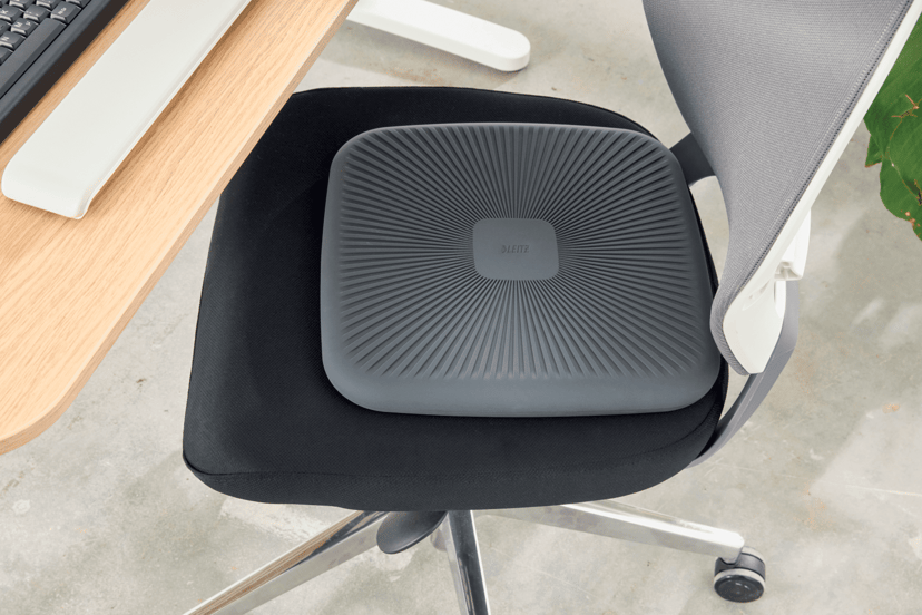 Leitz Ergo Active Huojuntatyyny