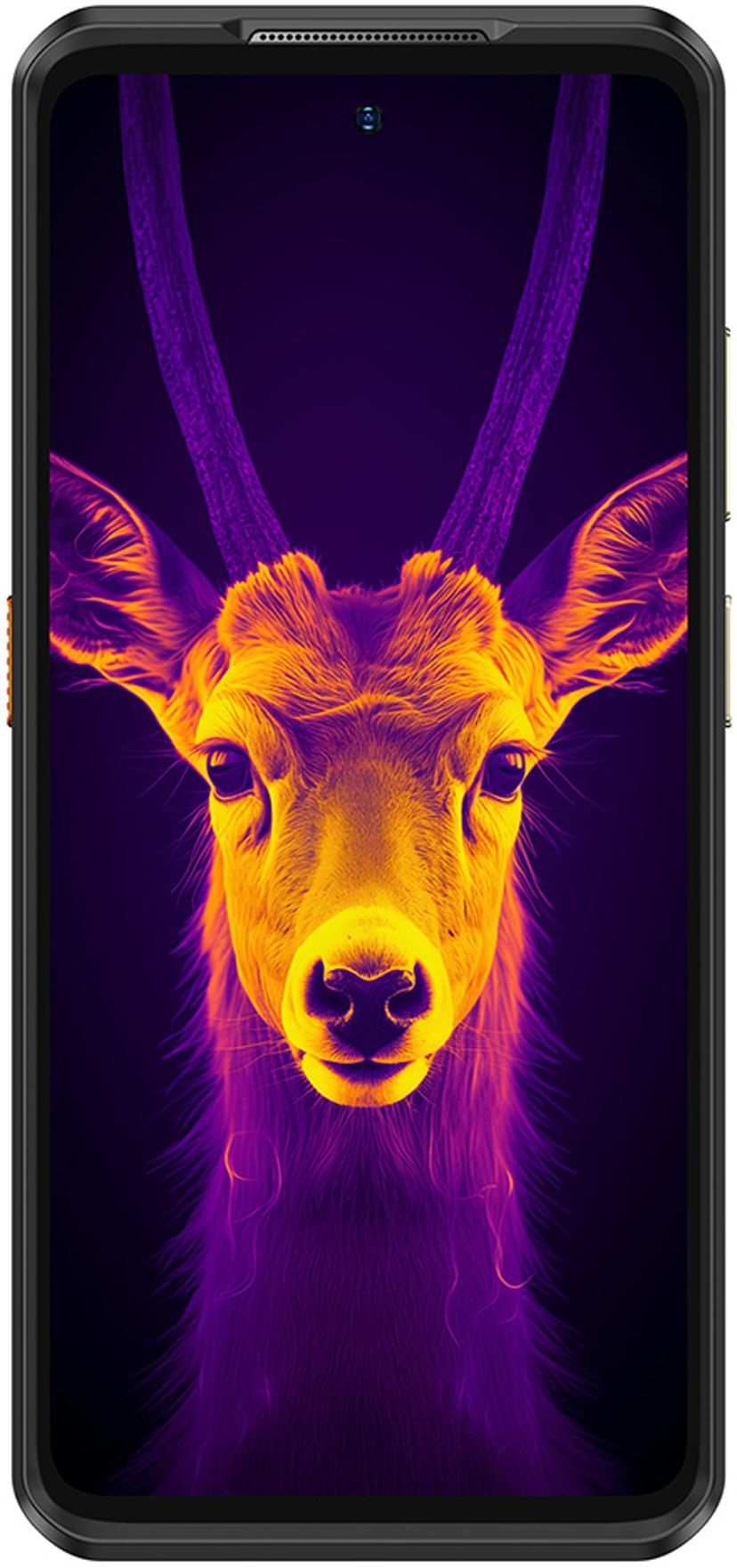 Ulefone Armor 25T Pro 4G 256GB Svart