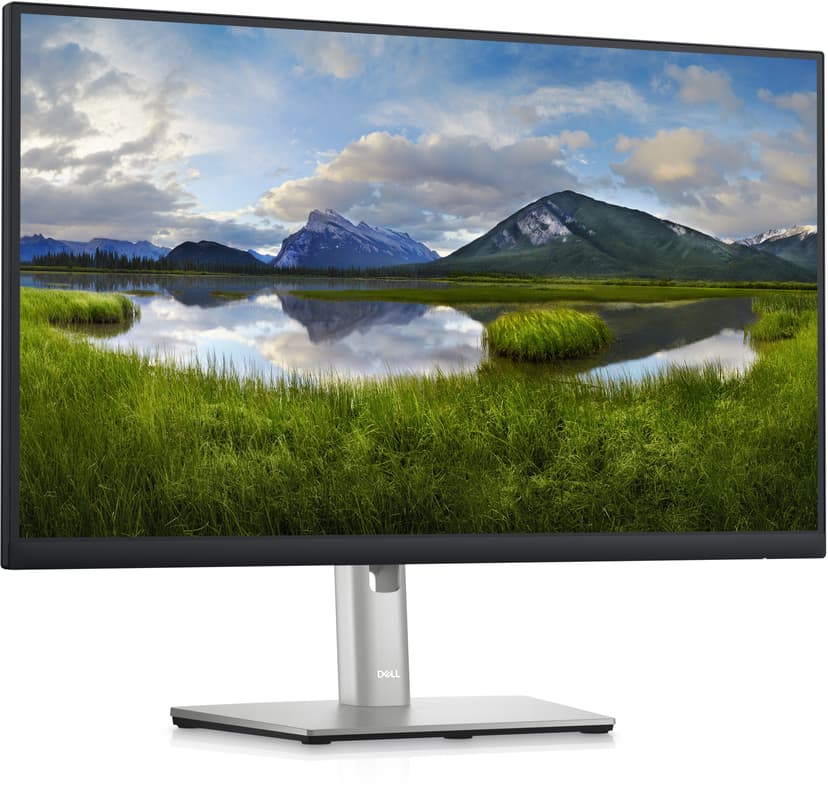 Dell P2423DE 23.8" 2560 x 1440pixels IPS 16:9 60Hz