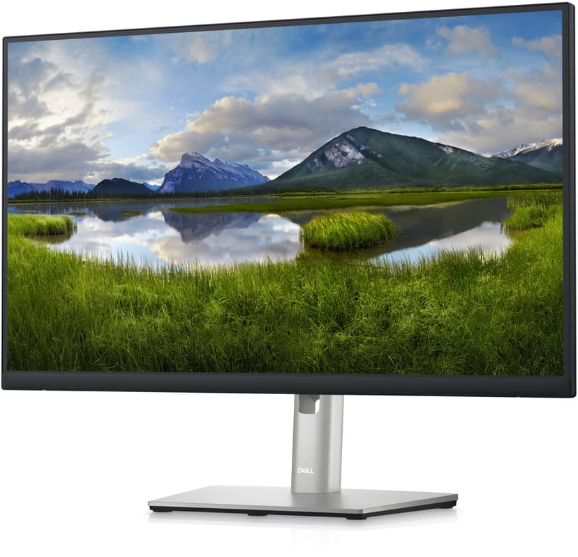 Dell P2423DE 23.8" 2560 x 1440pixels IPS 16:9 60Hz