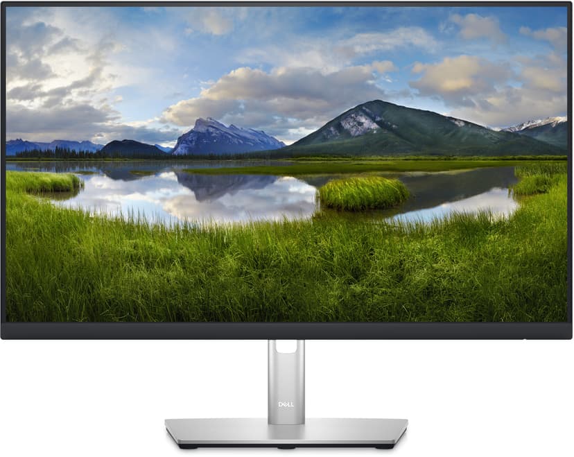 Dell P2423DE 23.8" 2560 x 1440pixels IPS 16:9 60Hz
