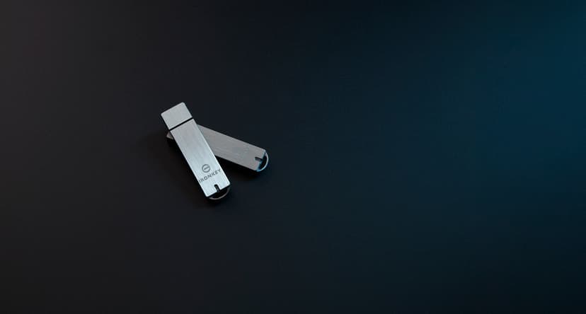 Kingston Ironkey Basic S1000 128GB USB-A Silver