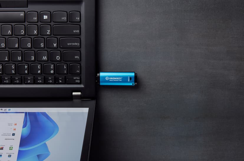 Kingston Ironkey Vault Privacy 50C 256GB USB-C Zwart, Blauw