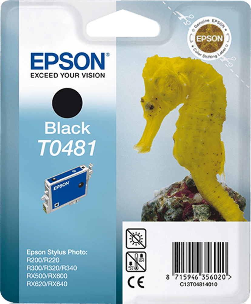 Epson Muste Musta T048 - R300