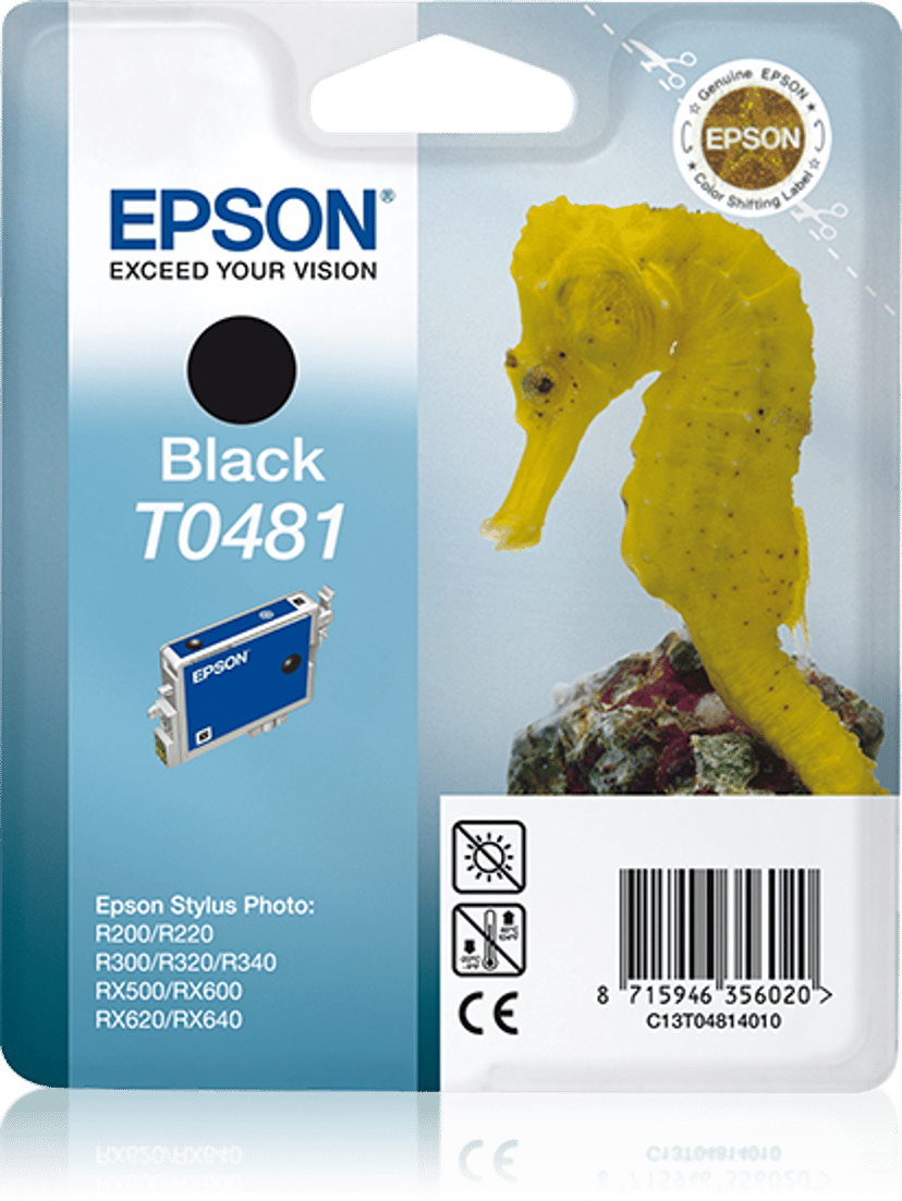 Epson Muste Musta T048 - R300