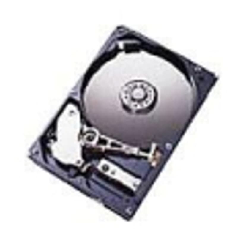 IBM Server hårddisk 3.5" 7200r/min SATA HDD
