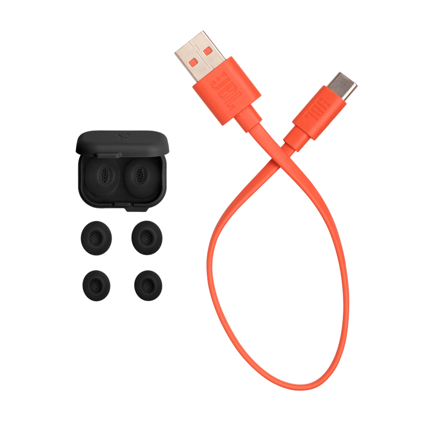 JBL Tune Flex 2 Stereo Sort