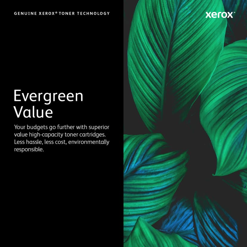 Product image slide 6