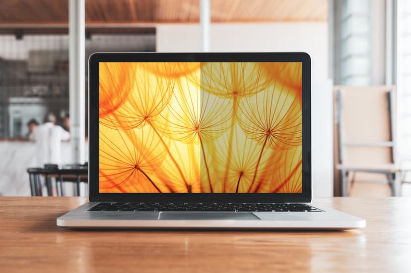 3M Bright Screen Privacy Filter 14" 16:10 16:10