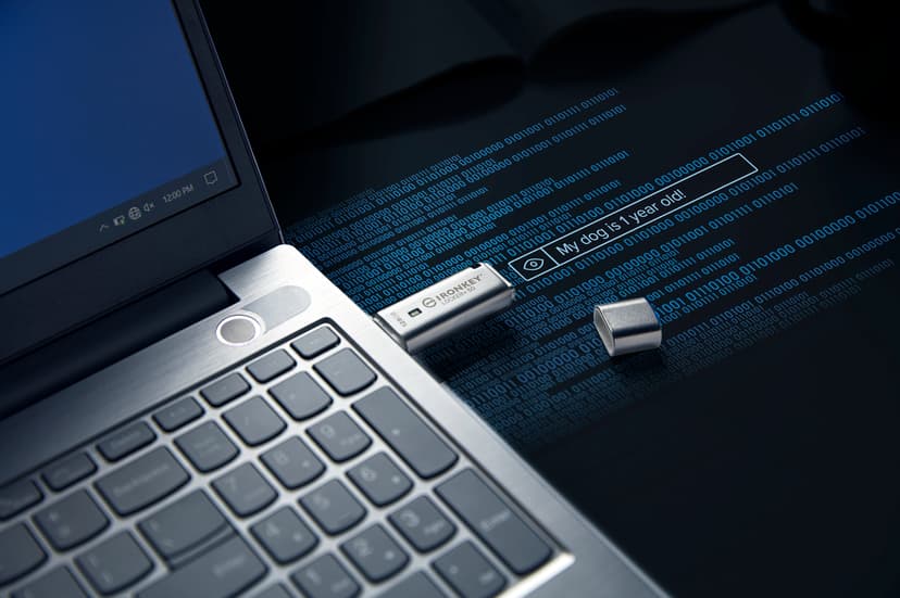 Kingston IronKey Locker+ 50 128GB USB-A Sølv
