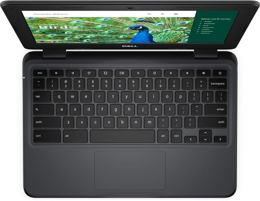 Dell Chromebook 3120 Intel N 8GB 64GB 11.6"
