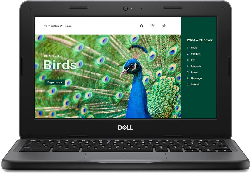 Dell Chromebook 3120 Intel N 8GB 64GB 11.6"