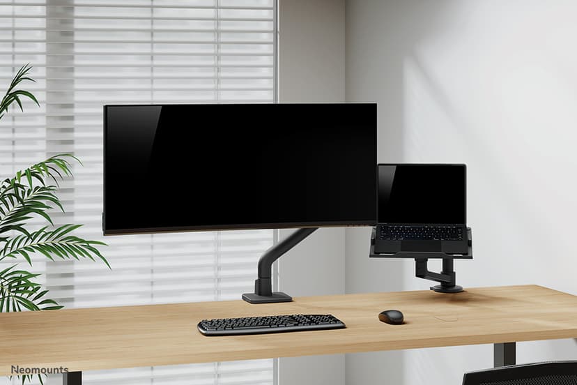 Neomounts NEXT Lite - DS20-425BL1 - Monitorarm voor 11,6-17,3" laptops - Zwart