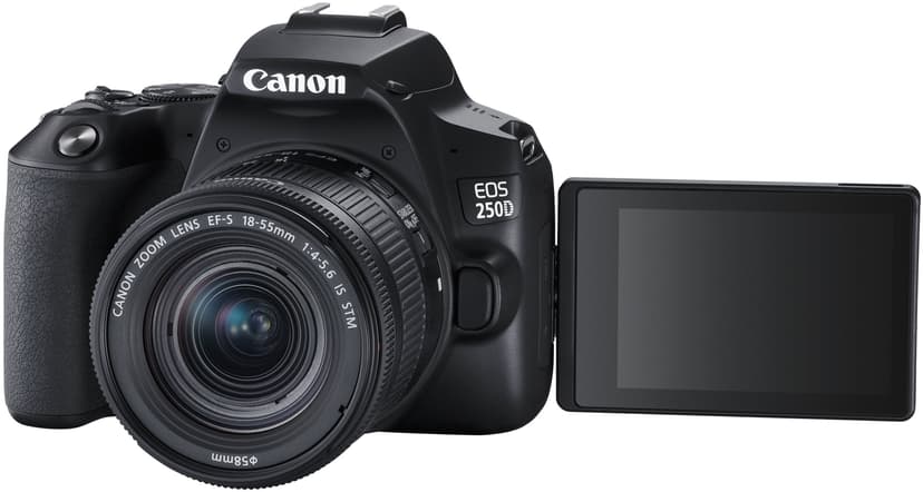 Canon EOS 250D + EF-S 18-55 mm