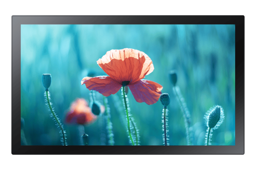 Samsung QB13R-T 13" ADS 500cd/m² 1920 × 1080pixels