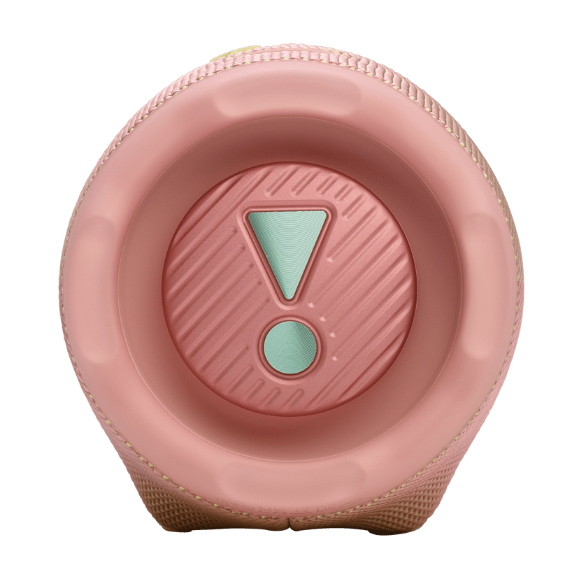 JBL Charge 6 Rosa