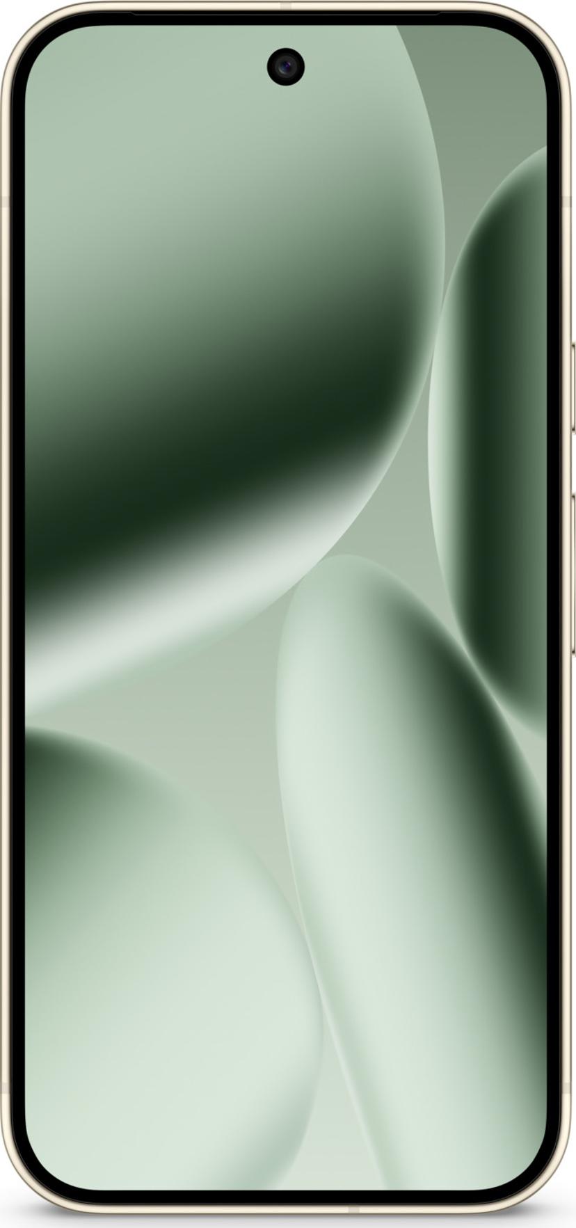 Google Pixel 10 Pro 256GB Groen