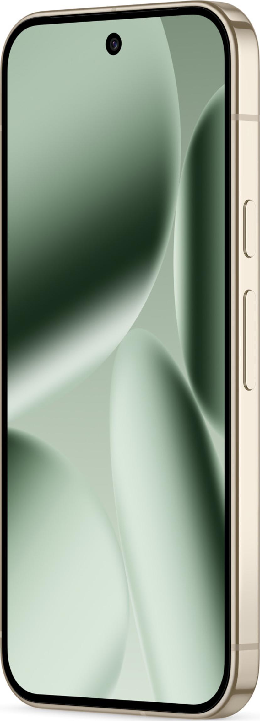 Google Pixel 10 Pro 256GB Groen