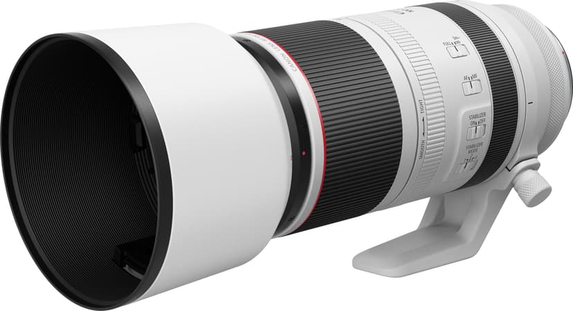 Canon RF 100-500mm f/4.5-7.1 L IS USM