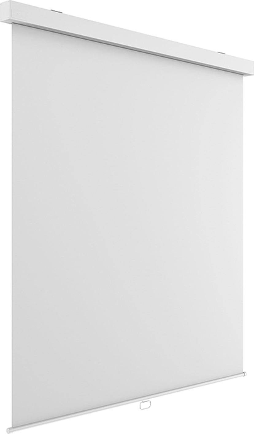Multibrackets M Manual Projection Screen 1:1 172x172 96"