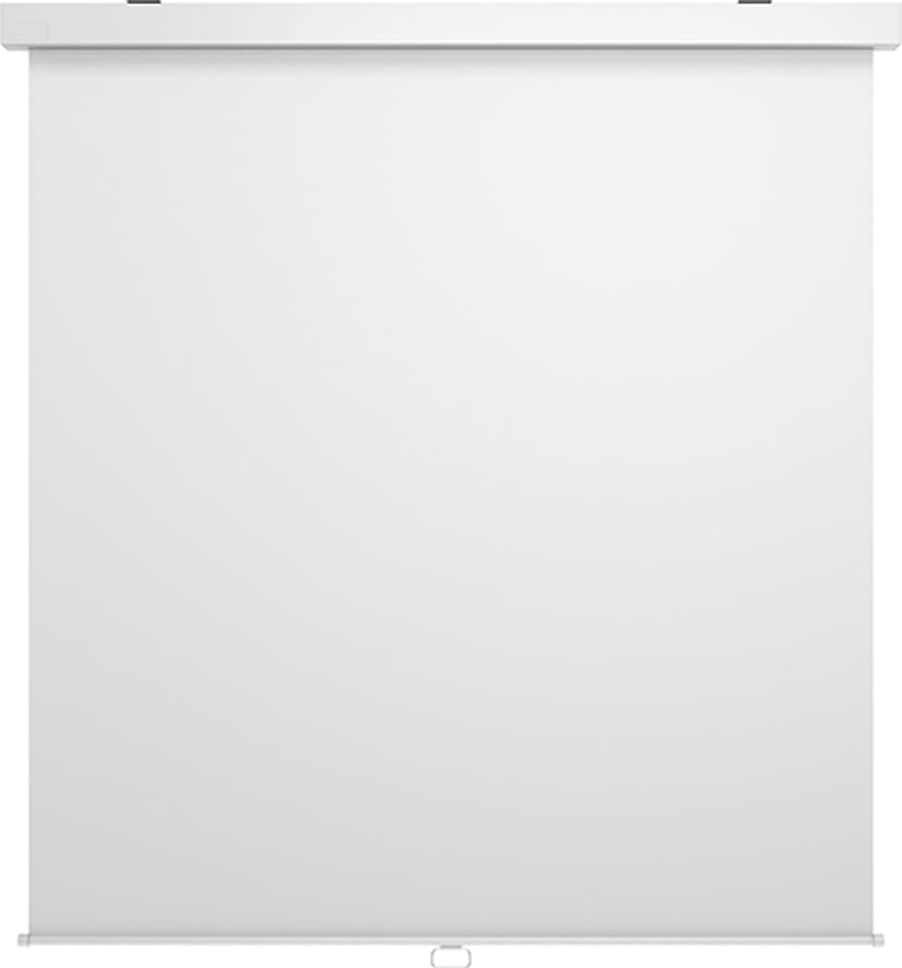 Multibrackets M Manual Projection Screen 1:1 172x172 96"