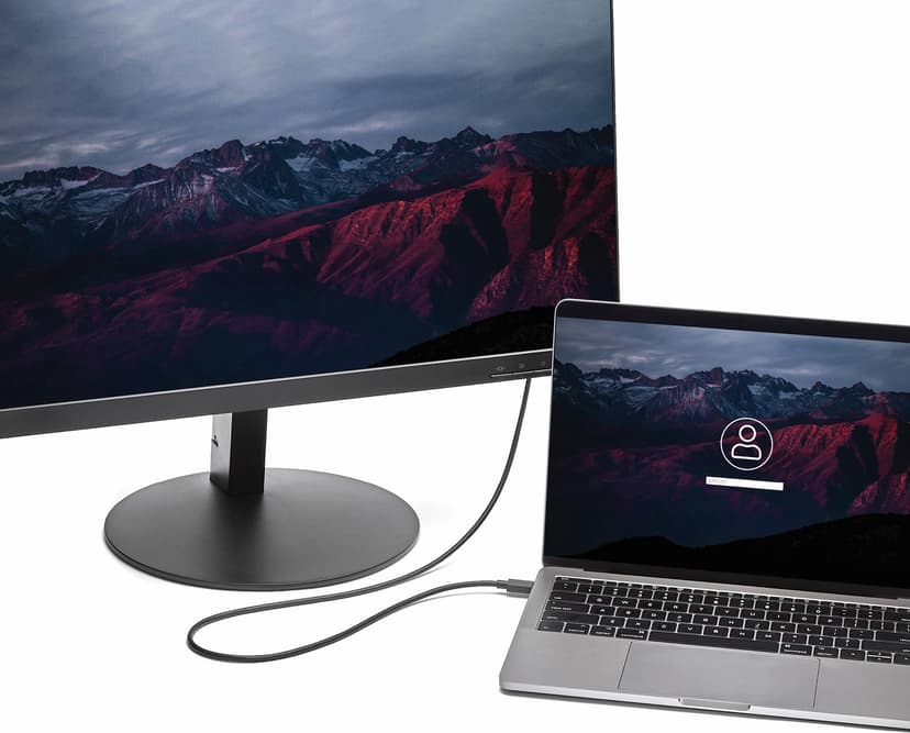 Startech 6 ft / 1.8 m USB C to DisplayPort Cable 1.8m DisplayPort USB-C Zwart