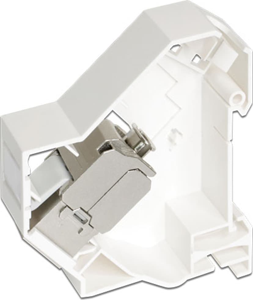 Delock Adapter