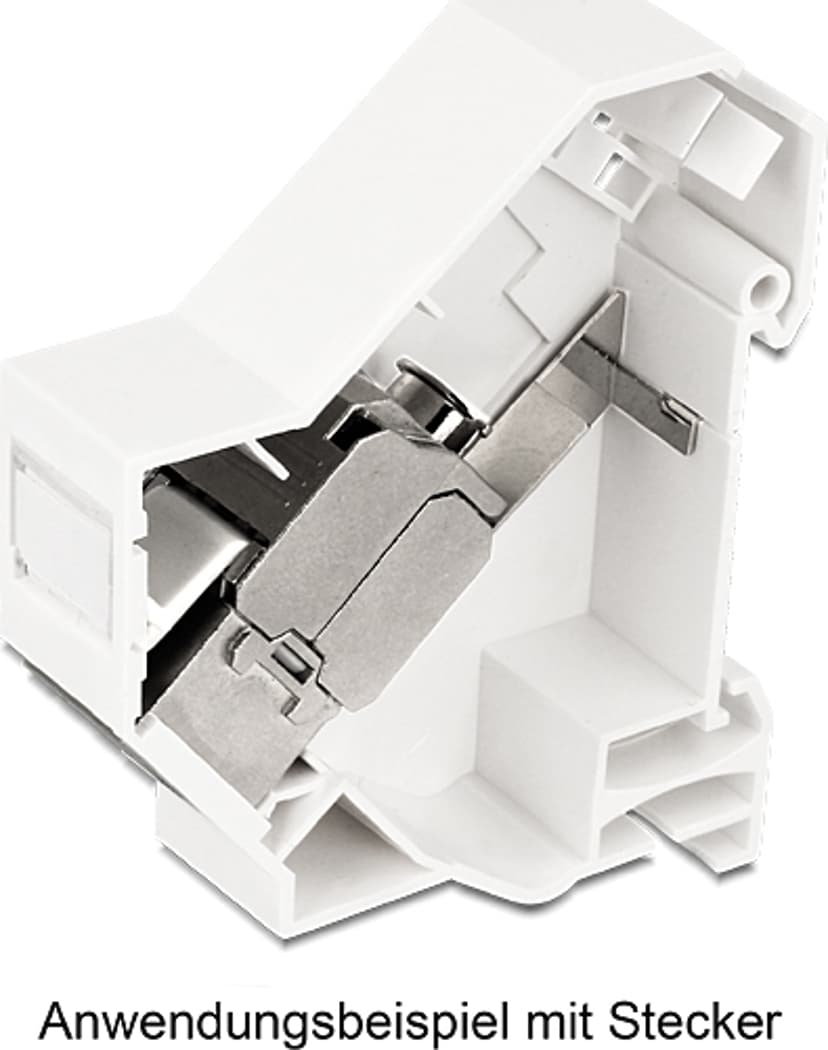 Delock Adapter