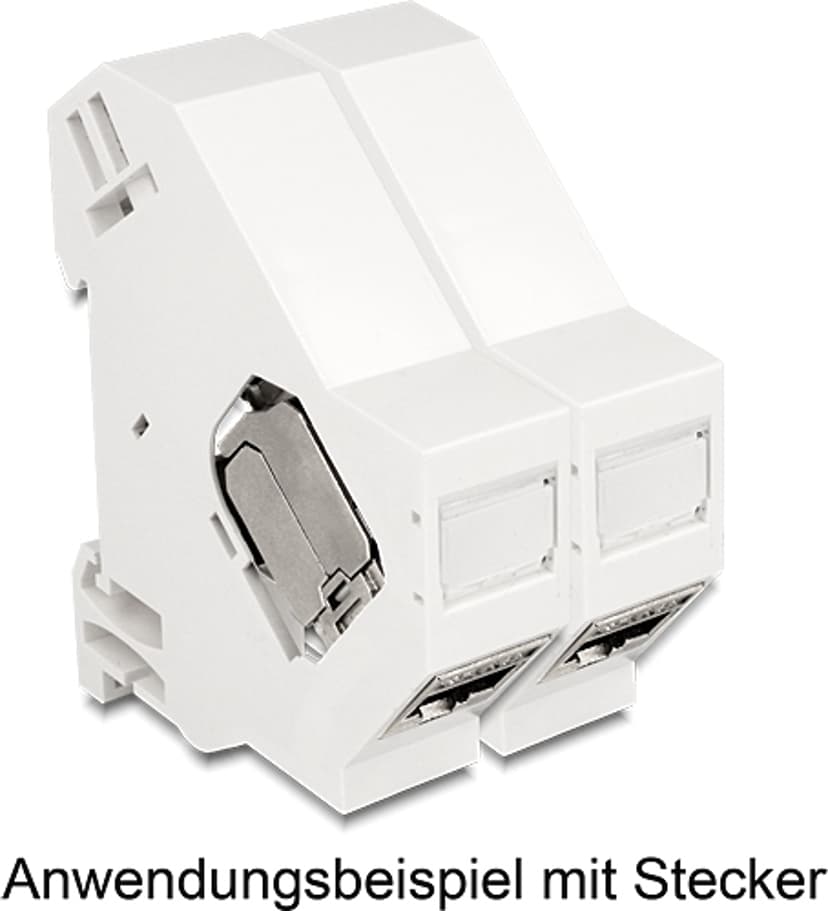 Delock Adapter