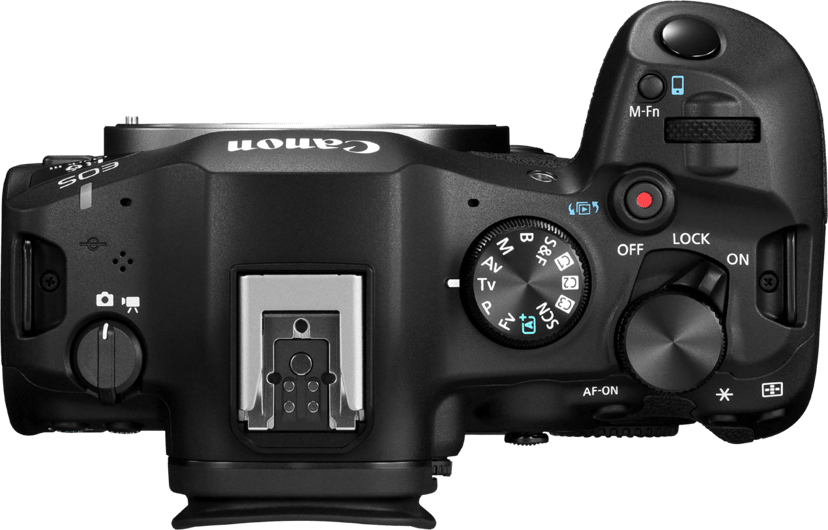 Canon EOS R6 Mark III + RF 24-105mm f/4-7.1 IS STM