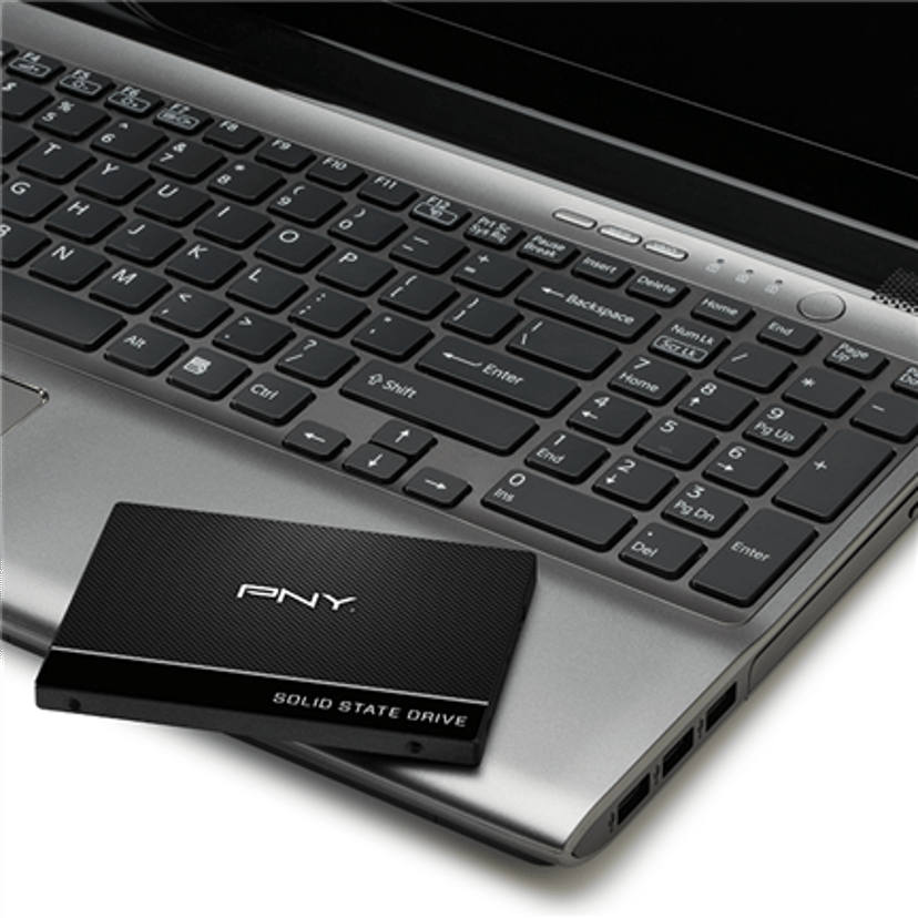 PNY CS900 250 GB 2.5" Serial ATA III 3D TLC 2,5" SATA 6.0 Gbit/s
