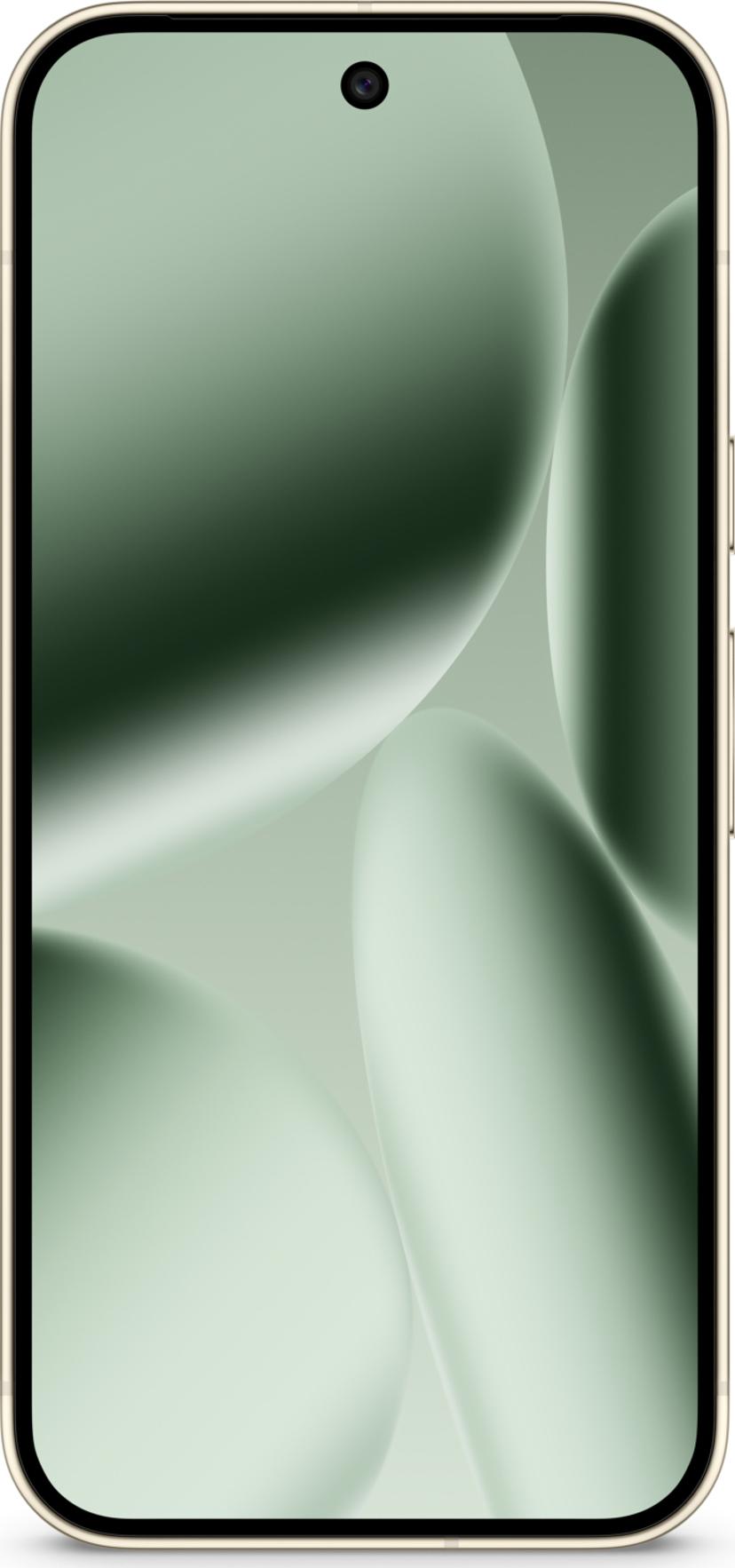 Google Pixel 10 Pro XL - (Fyndvara klass 2) 256GB Grön