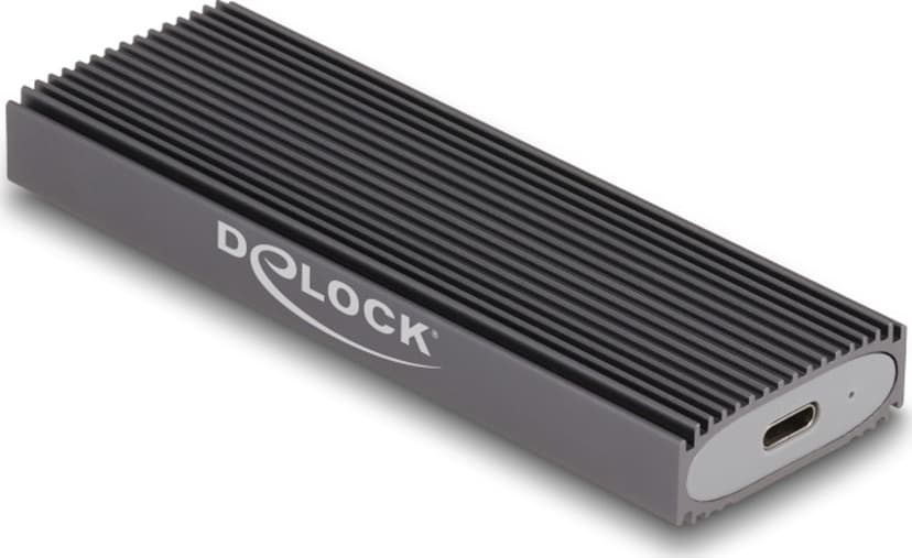 Delock External USB-C Combo Enclosure for M.2 NVMe PCIe or SATA SSD