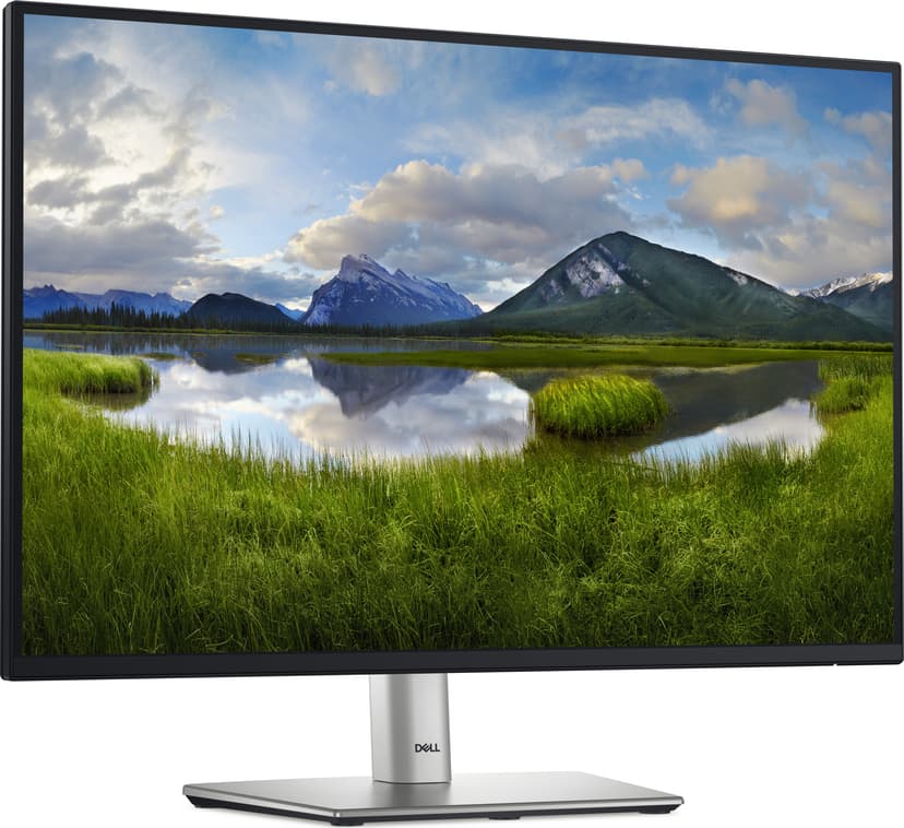 Dell P2425 - (Löytötuote luokka 2) 24.07" 1920 × 1200pixels IPS 16:10 100Hz