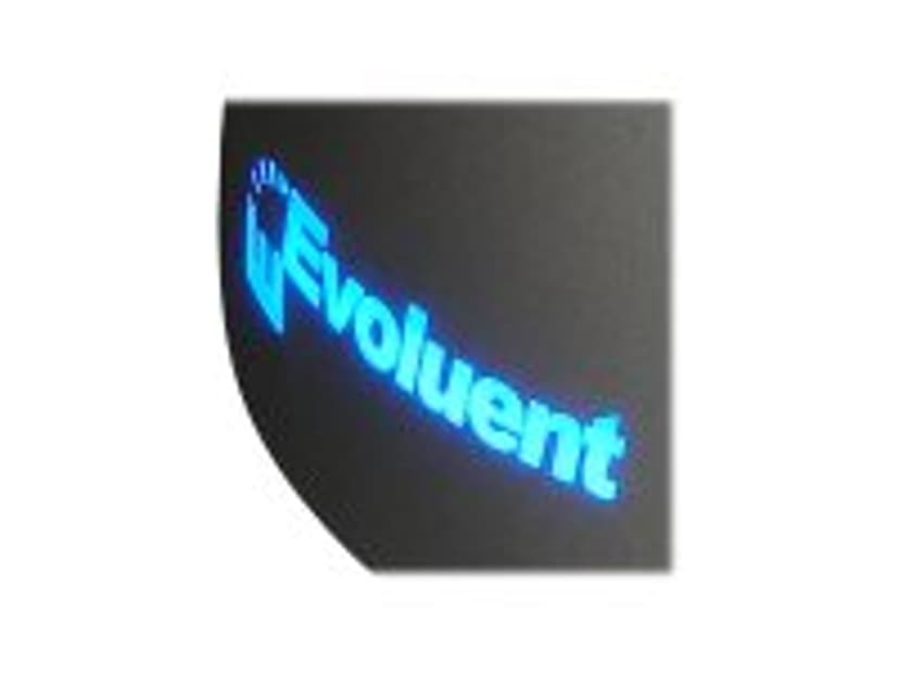 Evoluent VerticalMouse 4 Left USB Type-A