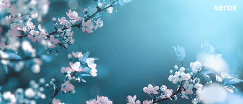 Product image slide 12