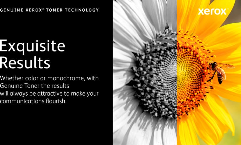 Product image slide 8