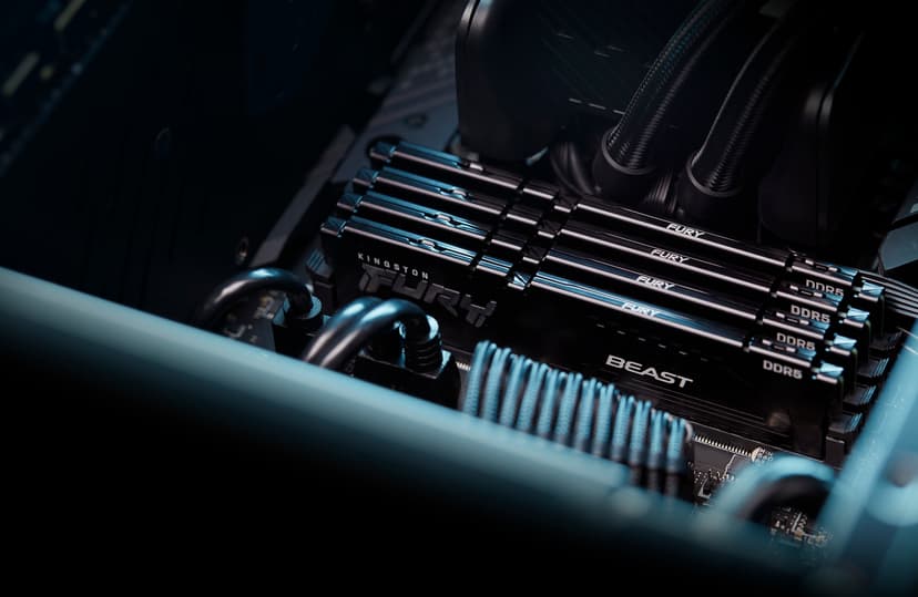 Kingston FURY Beast EXPO/XMP - (Kuppvare klasse 1) 64GB 3000, 6000MHz DDR5 288-pin DIMM
