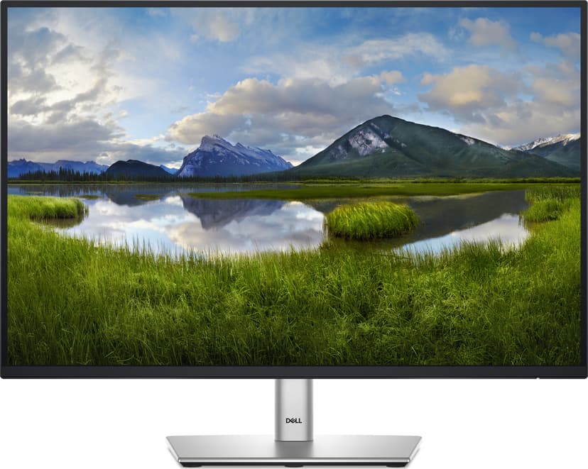 Dell P2425E - (Kuppvare klasse 3) 24.07" 1920 × 1200pixels IPS 16:10 100Hz