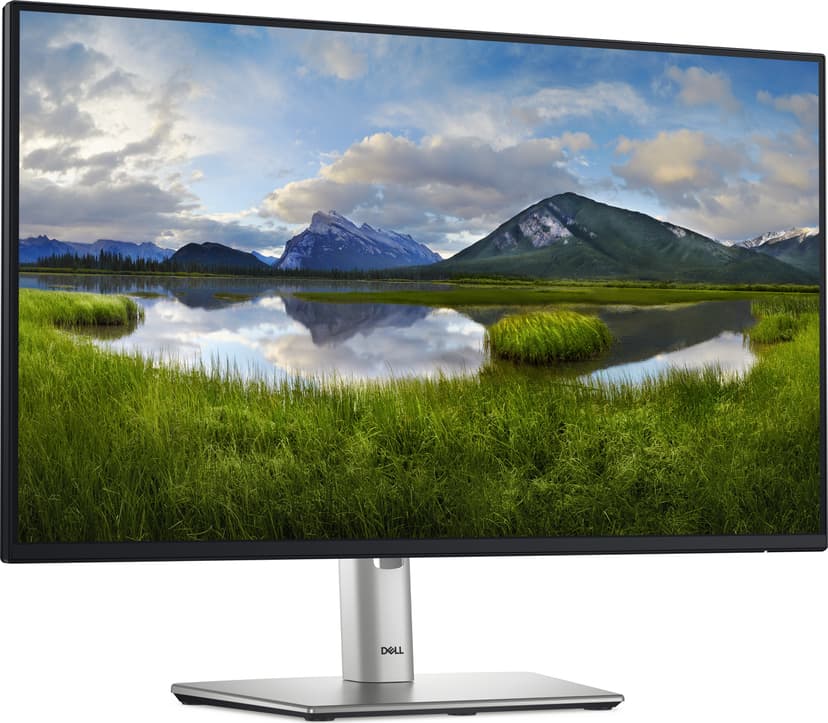 Dell P2425HHF 24" FHD IPS 16:9 - (Fyndvara klass 2) 23.8" 1920 × 1080pixels IPS 16:9 100Hz