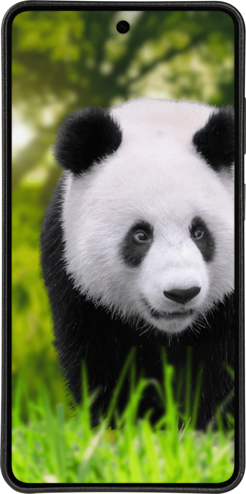dbramante1928 Lynge Qi2 Samsung Galaxy S26 Musta