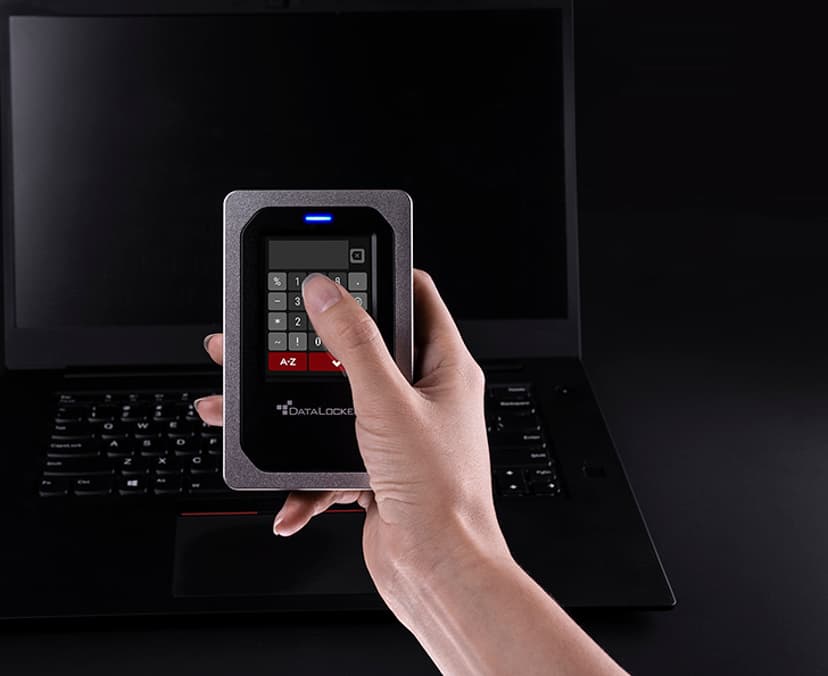 Datalocker DL4 1TB ESSD USB-C Gjuten aluminium, Svart