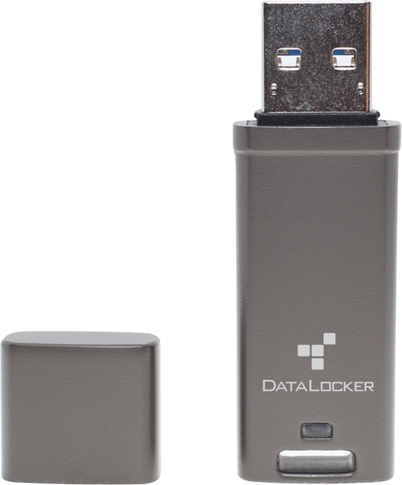 Datalocker DL GO 4GB USB-A Grå