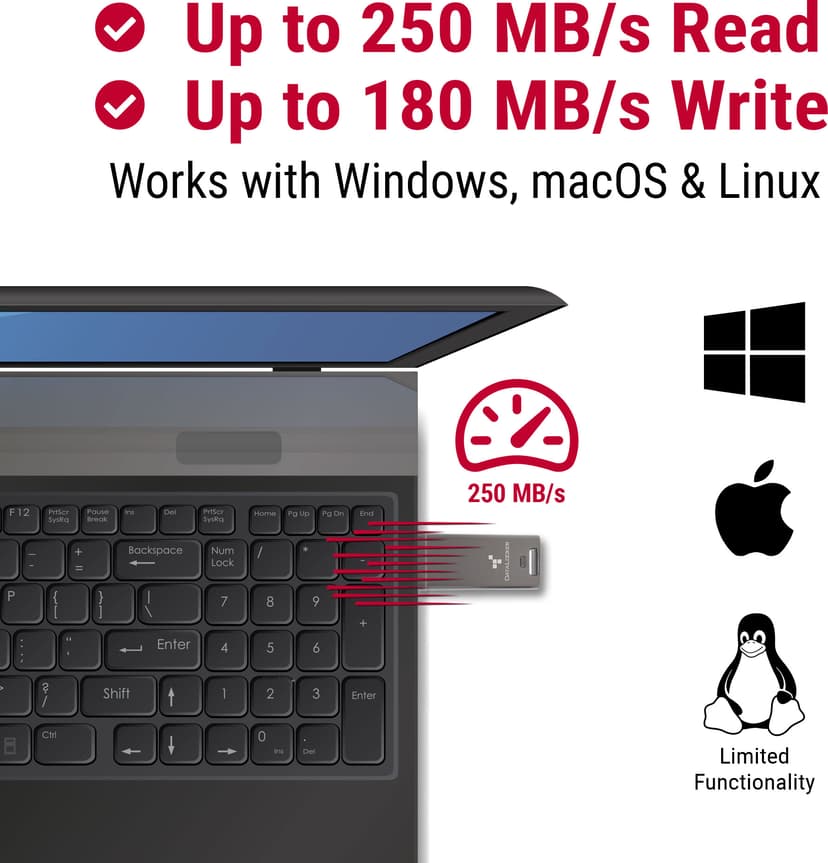 Datalocker DL GO 4GB USB-A Grå